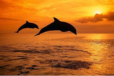 VGC：《龙之信条2》是自《艾尔登法环》以来最棒RPG